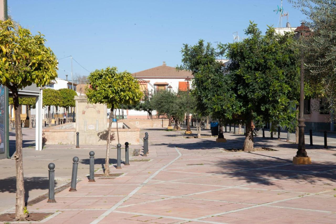 Casa Rural La Palmera Almodóvar del Río Exterior foto